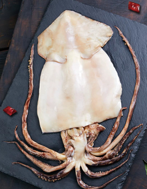 Squid products