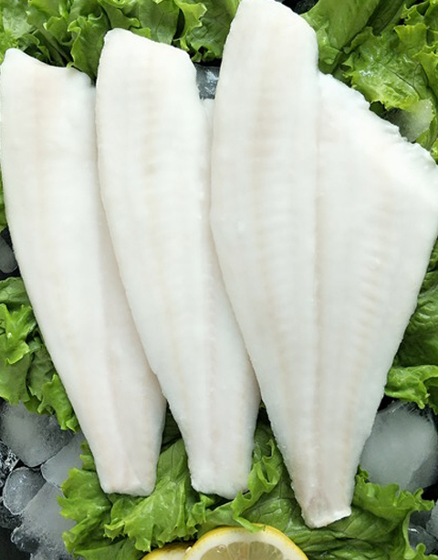 Frozen Flounder